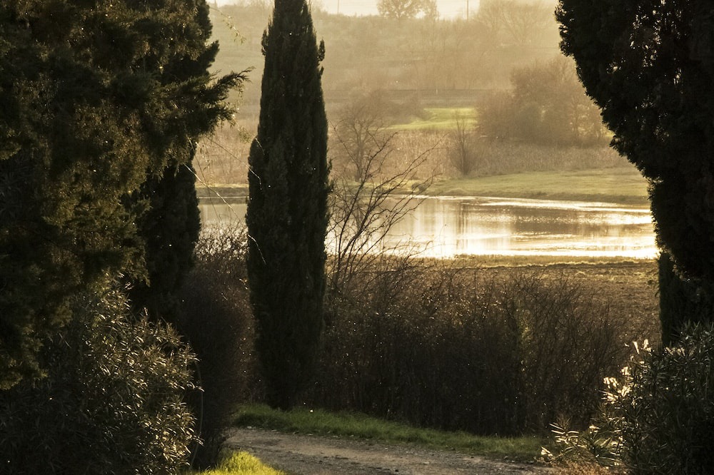 Photo of Others in Ponte Buriano