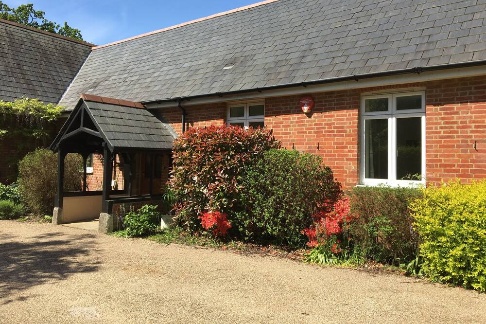 Photo of Outdoor in New Forest District