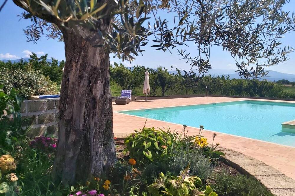 Photo of Outdoor in Segni
