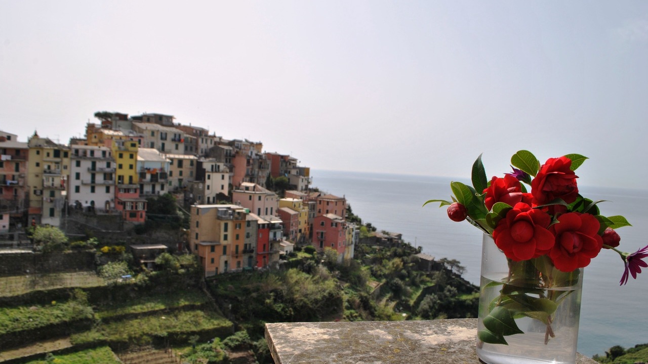 Photo of Others in Monterosso al Mare