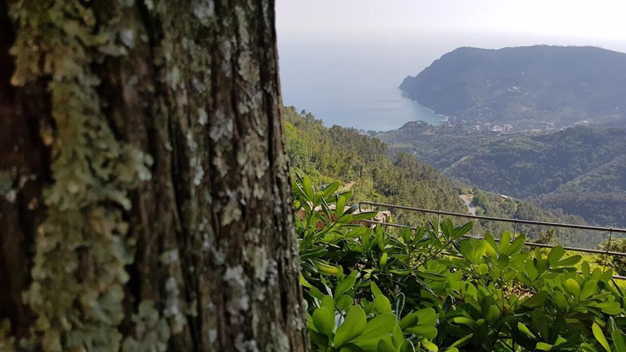 Photo of Others in Monterosso al Mare