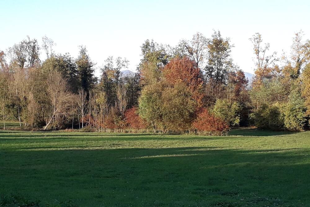 Photo of Outdoor in Gattico