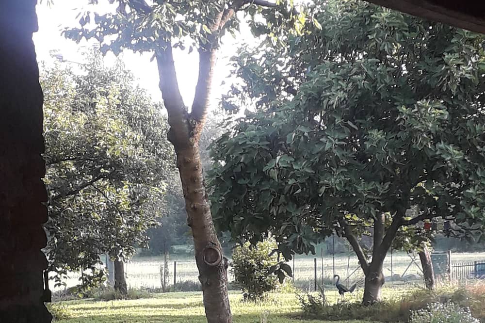 Photo of Outdoor in Gattico