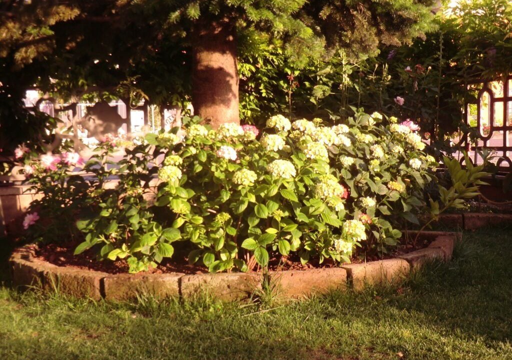 Photo of Outdoor in San Giorgio di Mantova