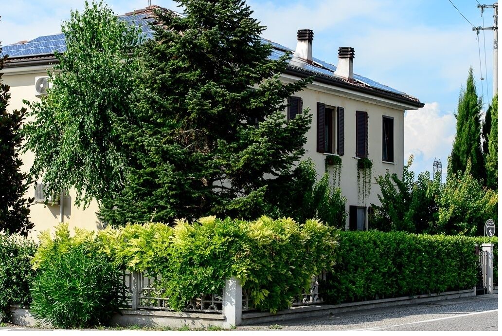 Photo of Outdoor in San Giorgio di Mantova