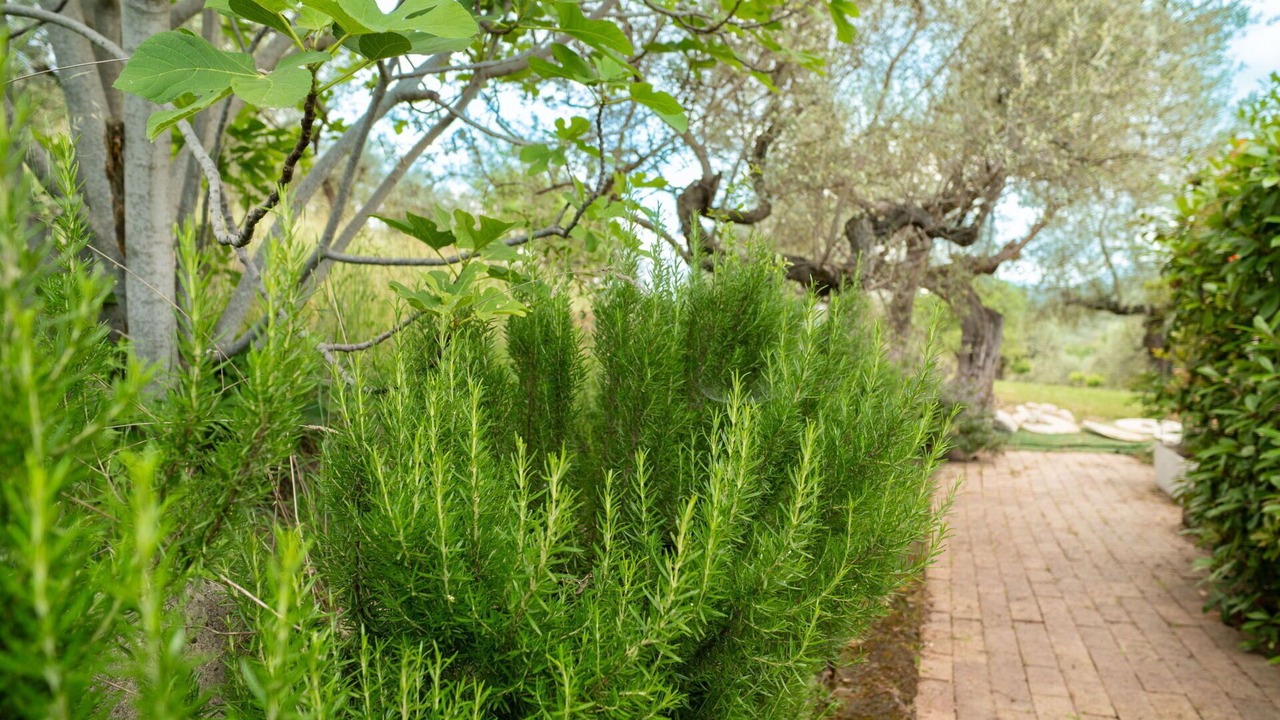 Photo of Outdoor in Collecorvino