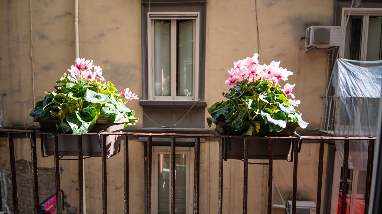 Photo of Bedroom in Quartieri Spagnoli