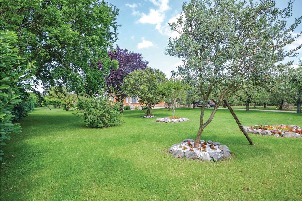 Photo of Others in Canale Monterano