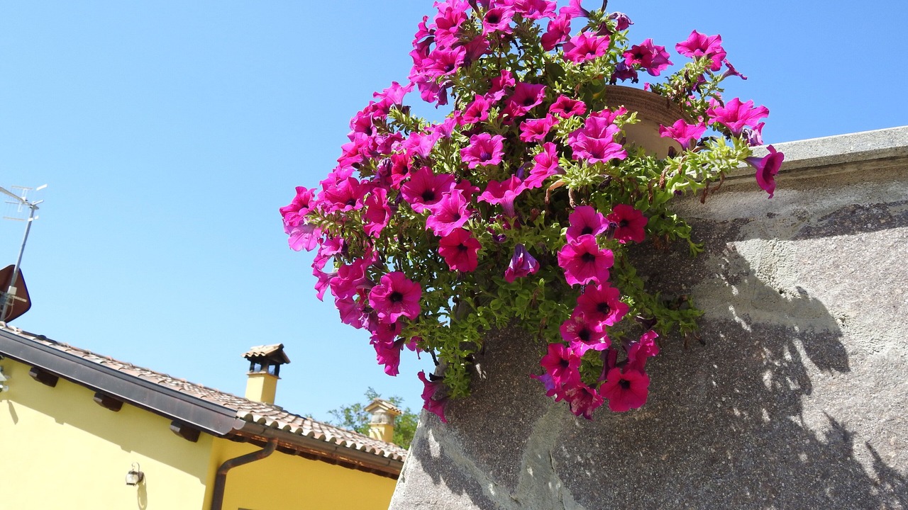 Photo of Outdoor in Sant'Anatolia di Narco