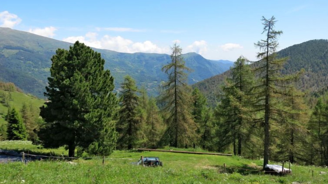 Photo of Outdoor in Sampeyre