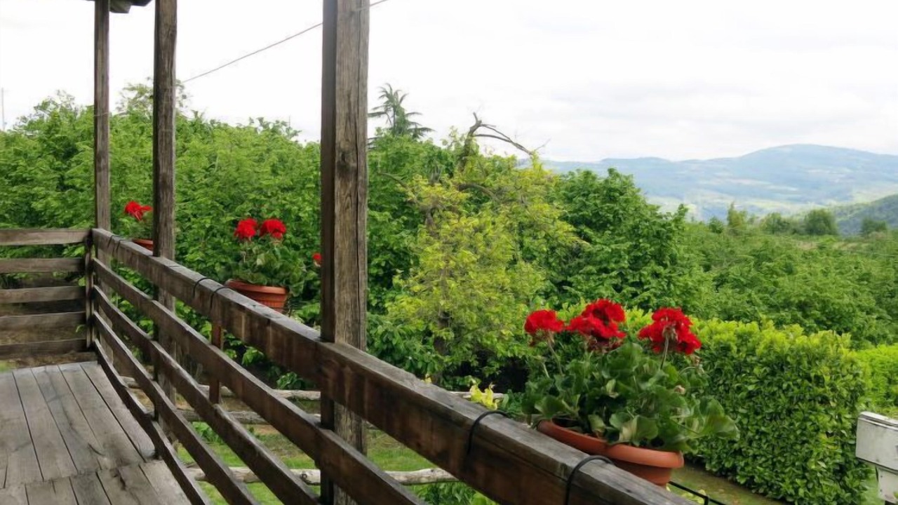 Photo of Outdoor in Cortemilia