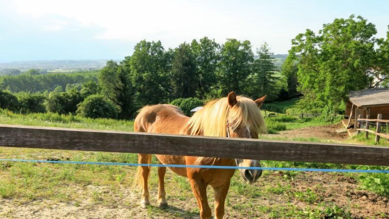 Photo of Others in Azzano d'Asti