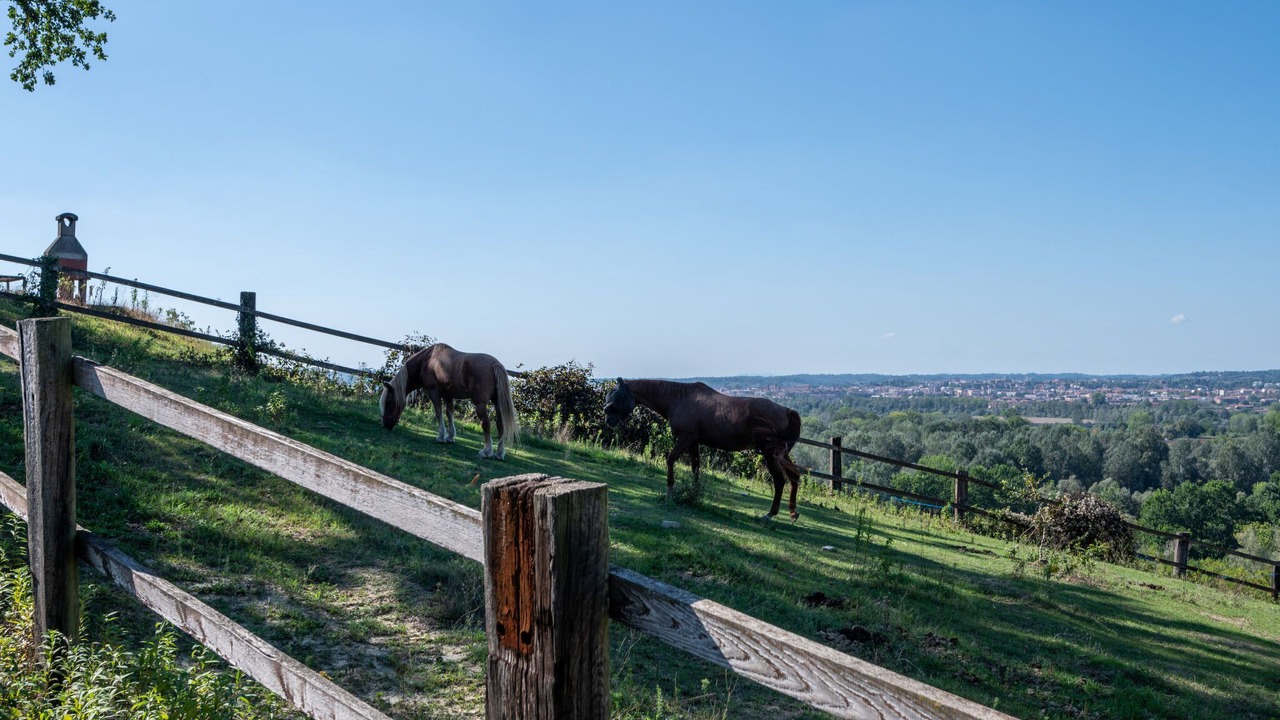 Photo of Outdoor in Azzano d'Asti