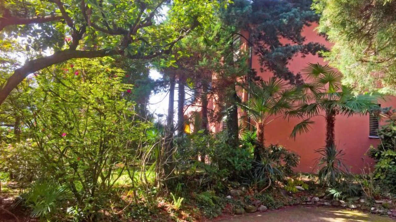 Photo of Outdoor in Orselina