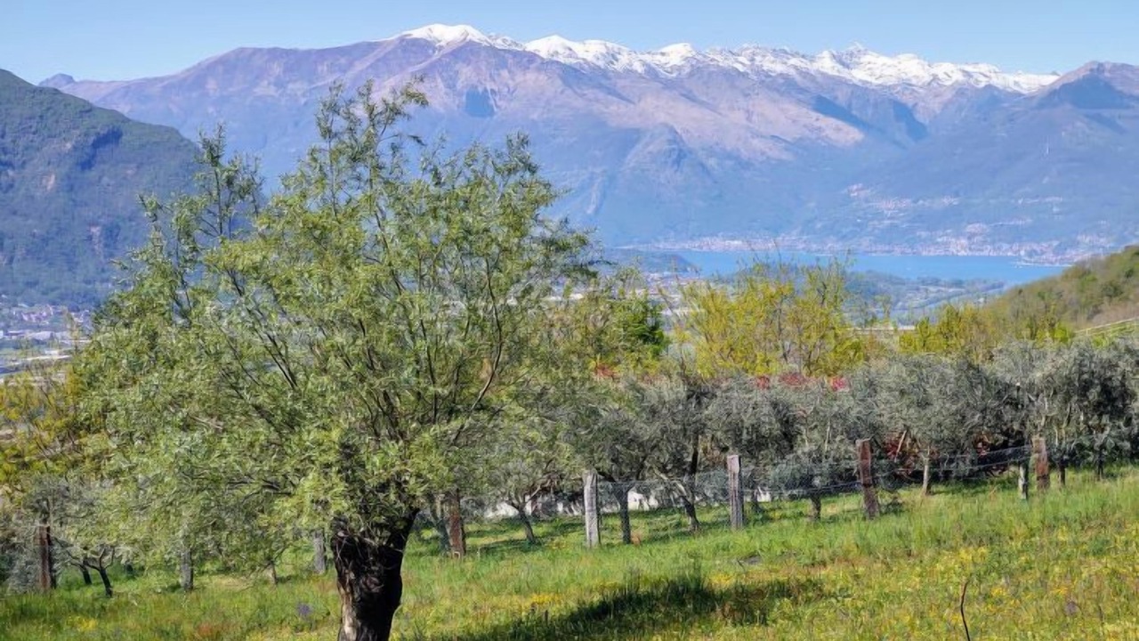 Photo of Outdoor in Cercino