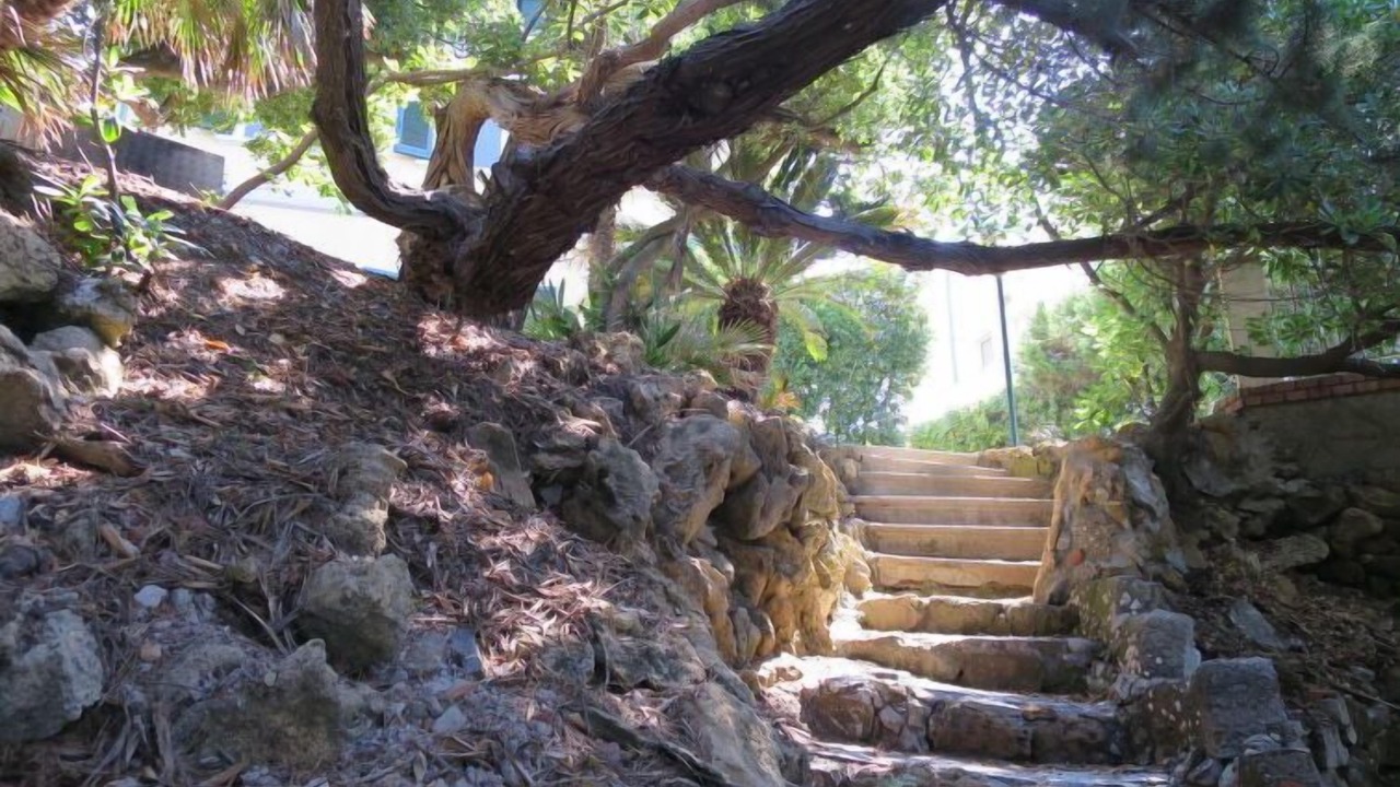 Photo of Outdoor in Quercianella