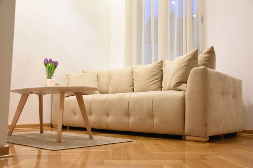 Photo of Livingroom in Slavija
