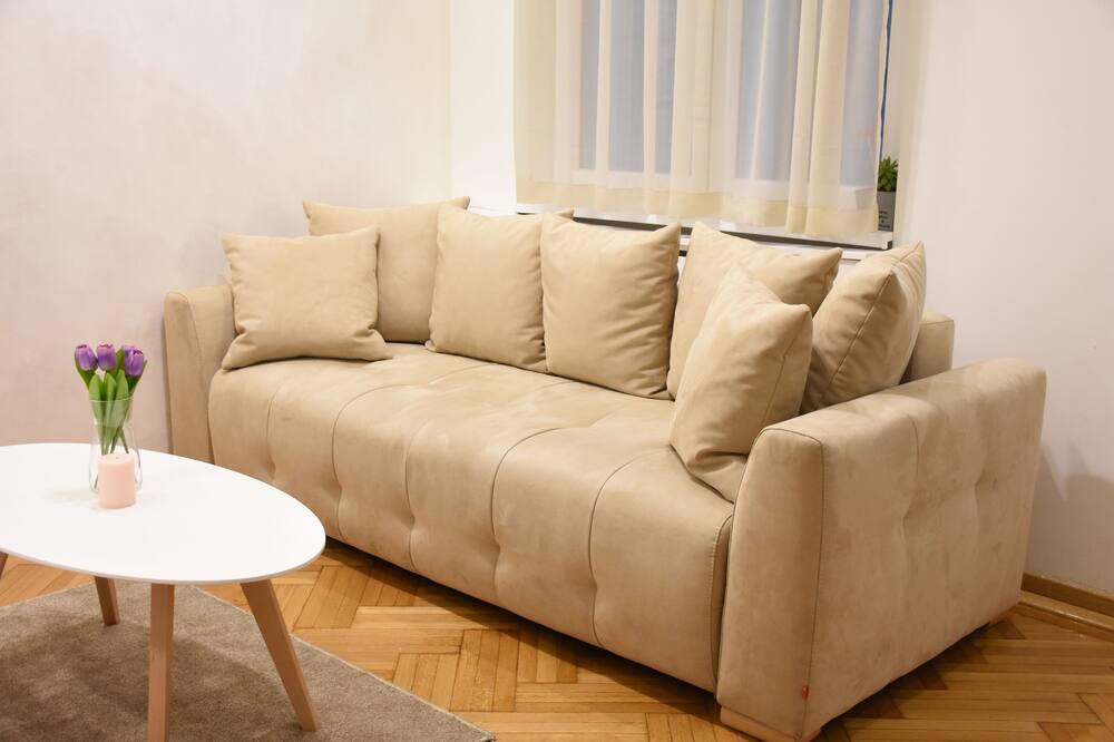 Photo of Livingroom in Slavija