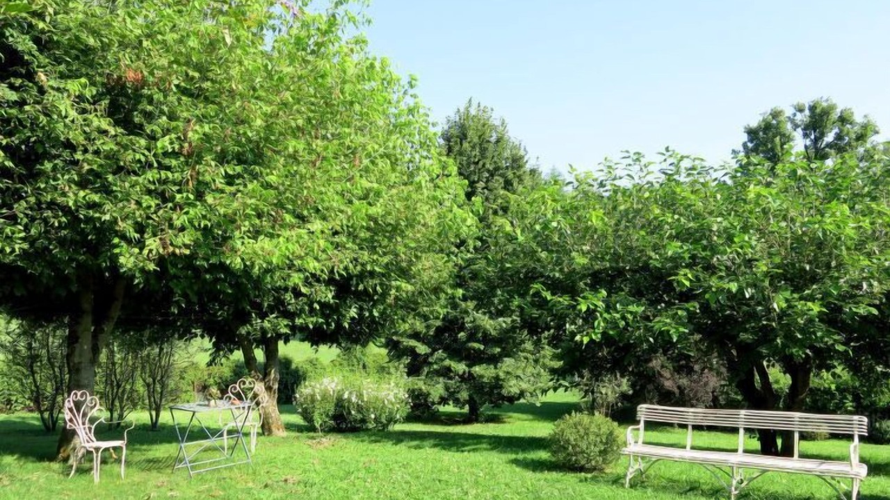 Photo of Outdoor in Moncalieri