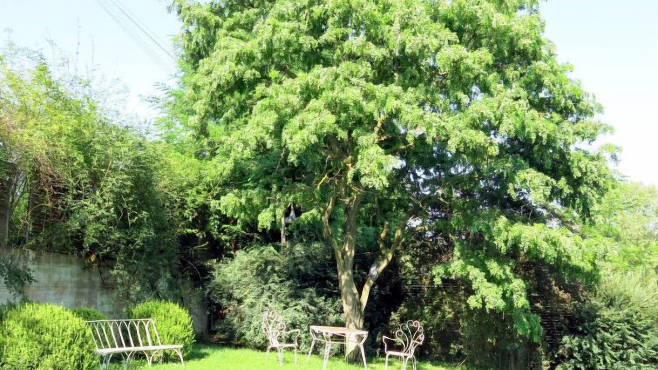 Photo of Outdoor in Moncalieri