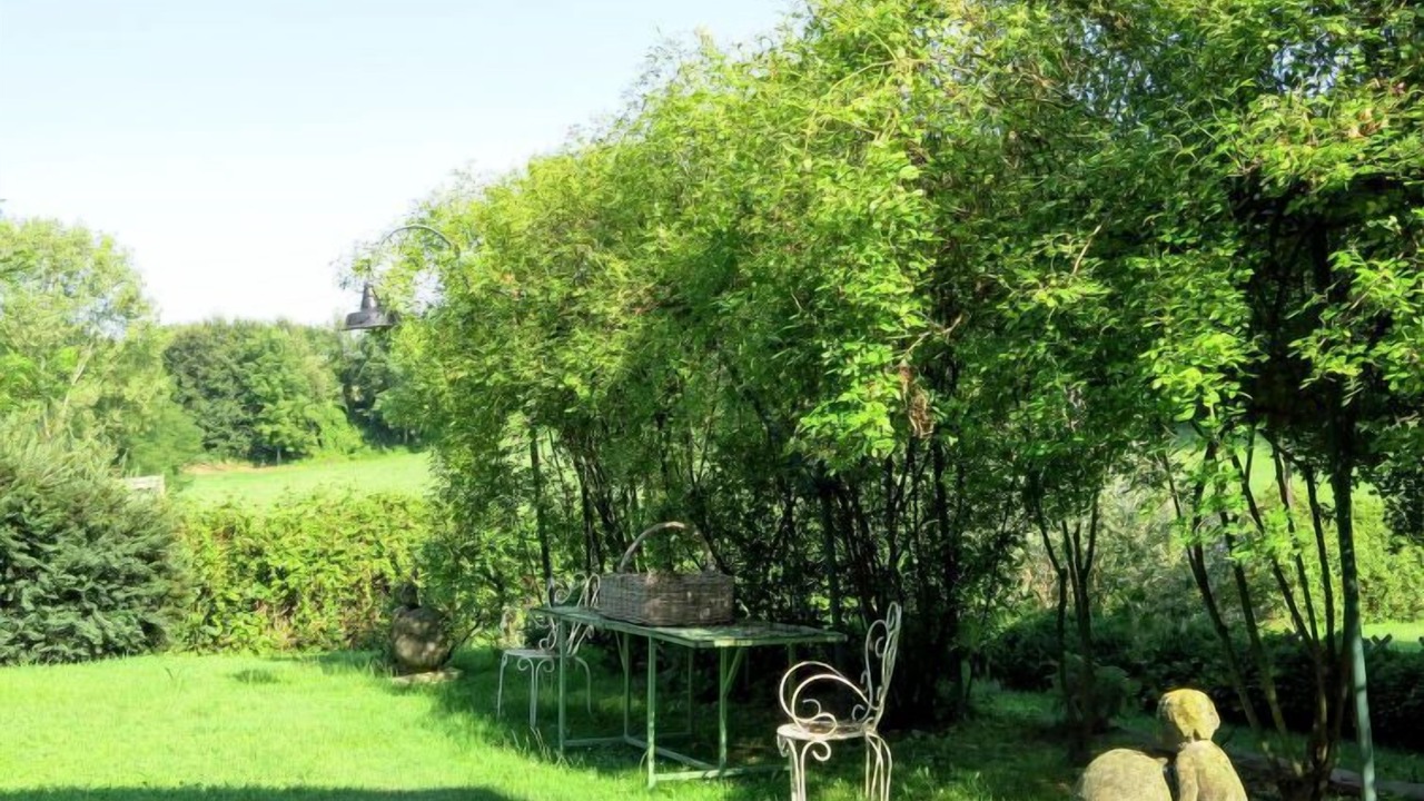 Photo of Outdoor in Moncalieri