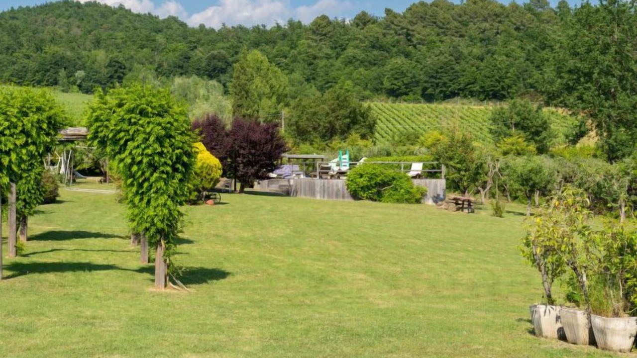 Photo of Outdoor in Twist