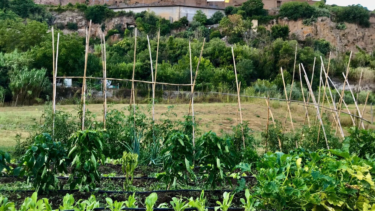 Photo of Outdoor in Civita Castellana