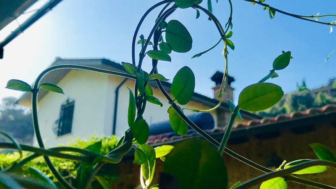 Photo of Outdoor in Civita Castellana