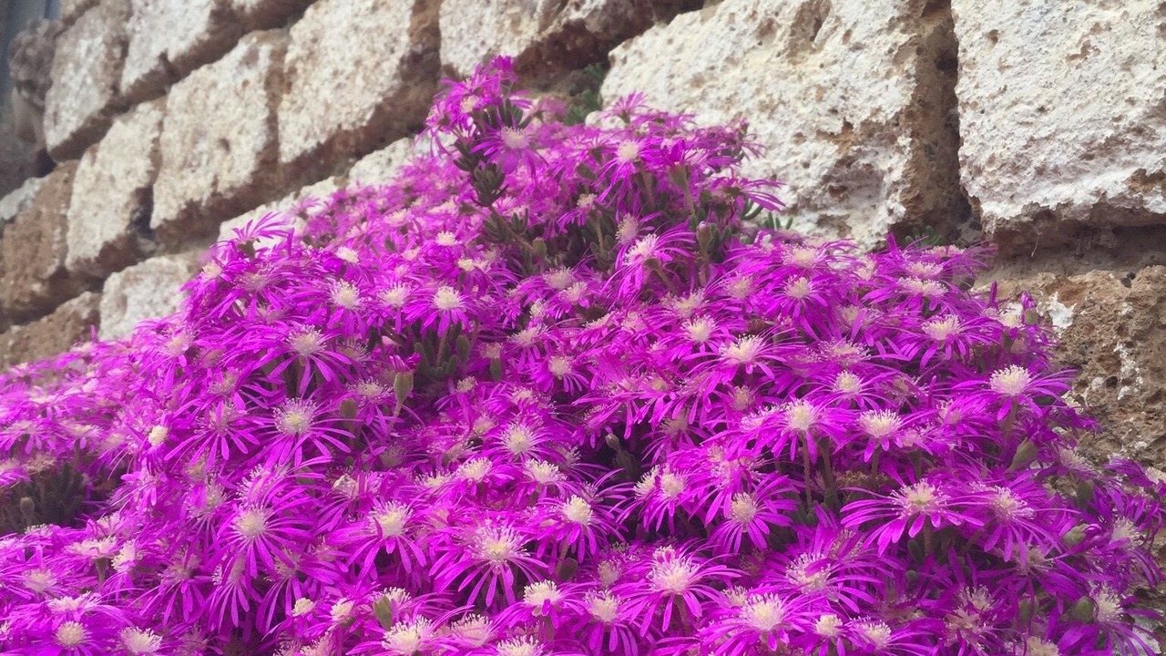 Photo of Outdoor in Civita Castellana
