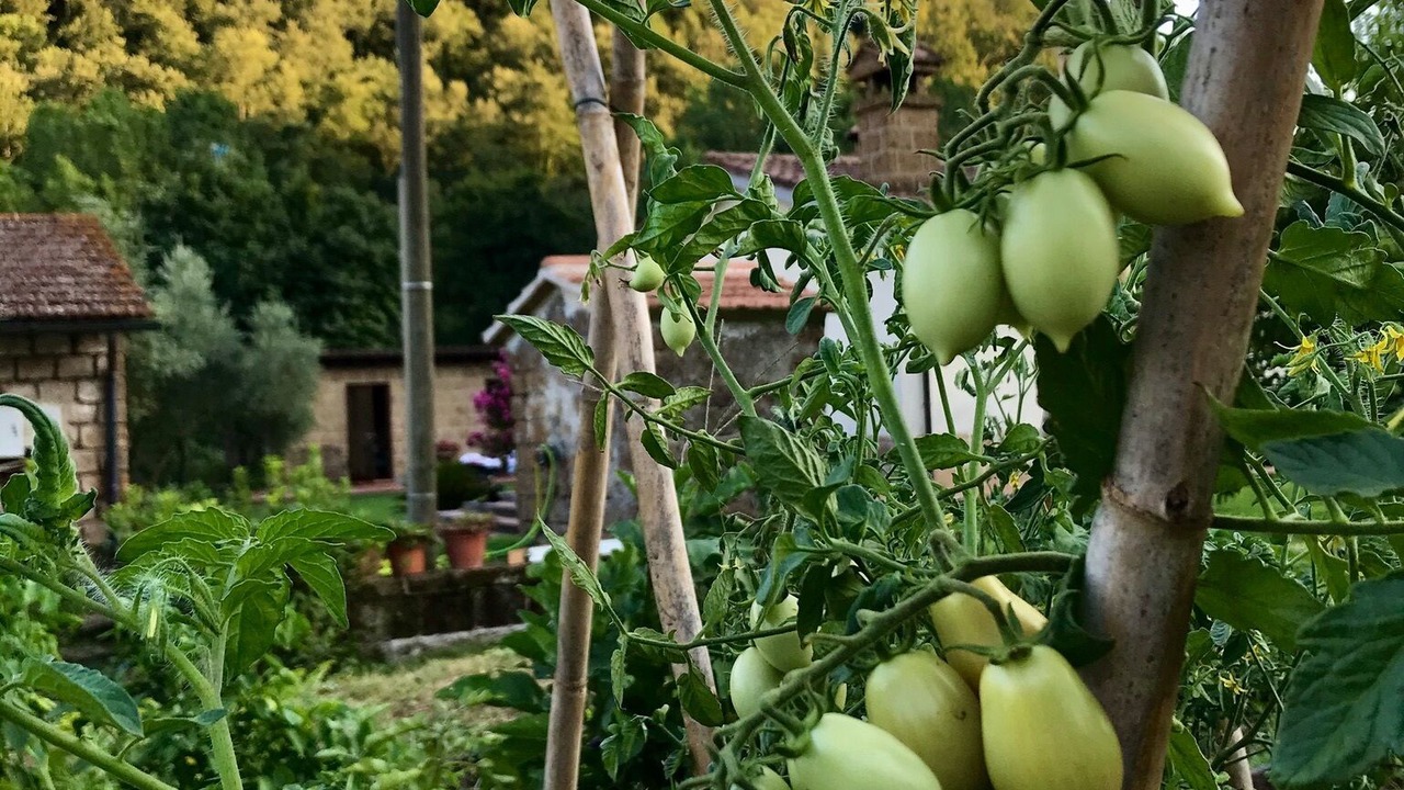 Photo of Outdoor in Civita Castellana