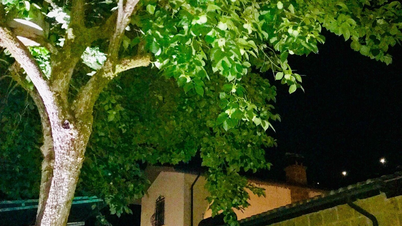 Photo of Outdoor in Civita Castellana