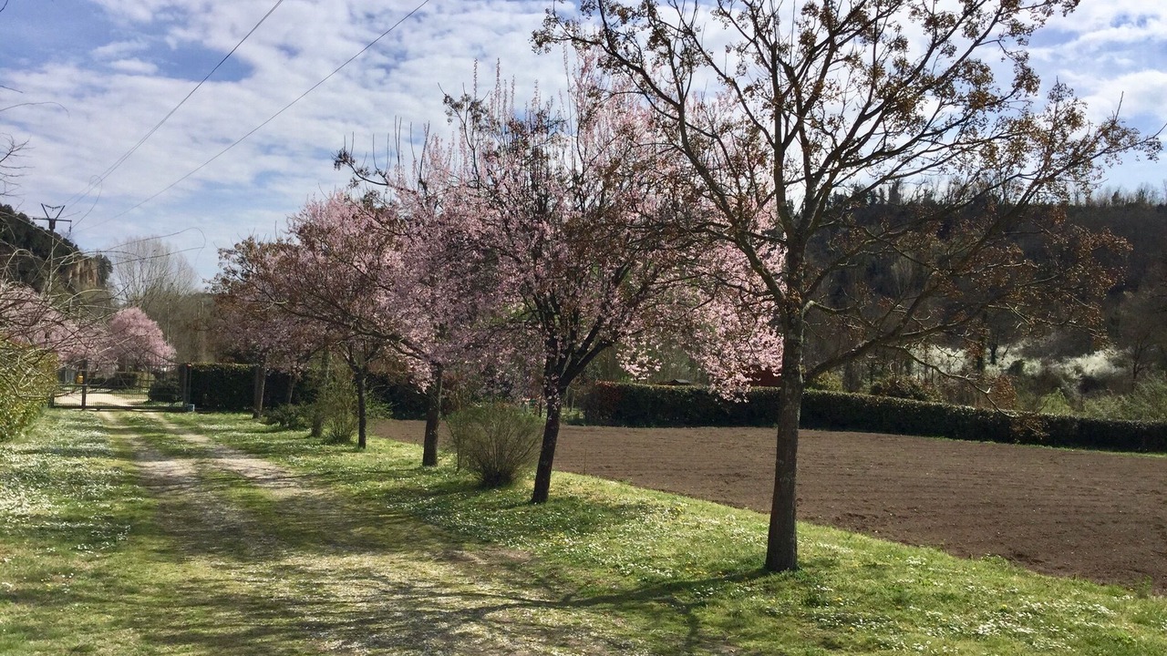 Photo of Outdoor in Civita Castellana