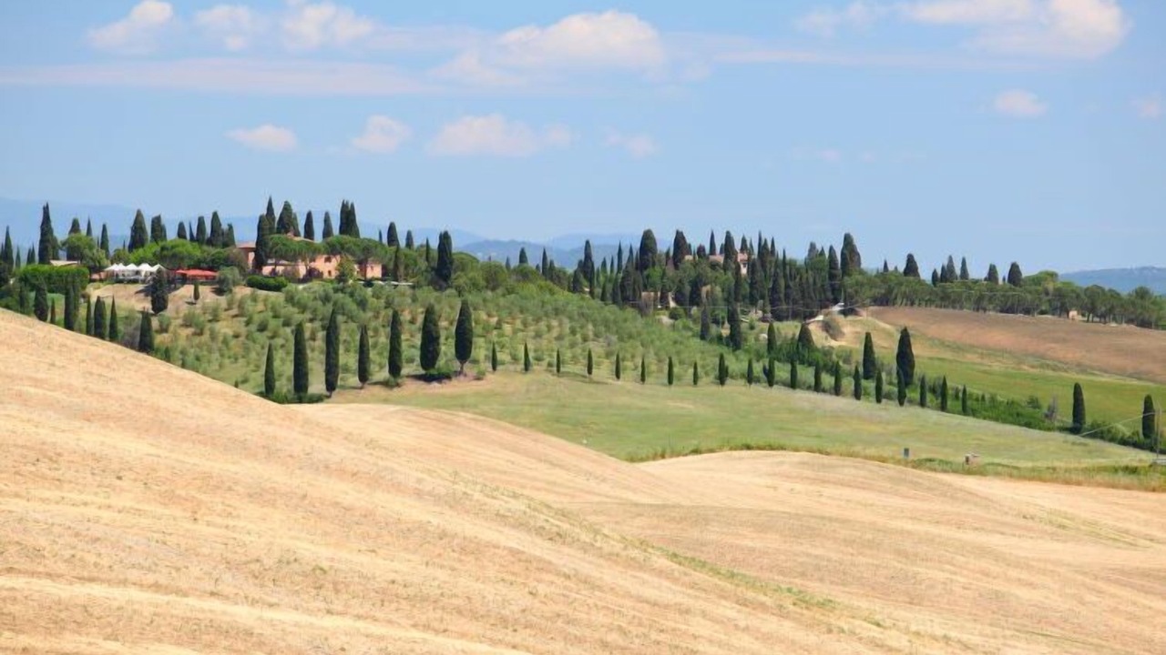 Photo of Others in Ponte di Gabbiano