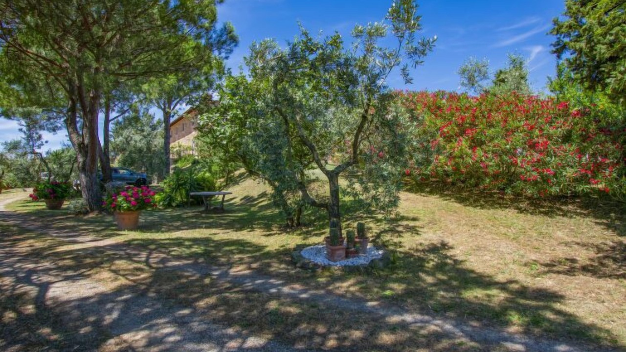 Photo of Outdoor in Capraia e Limite