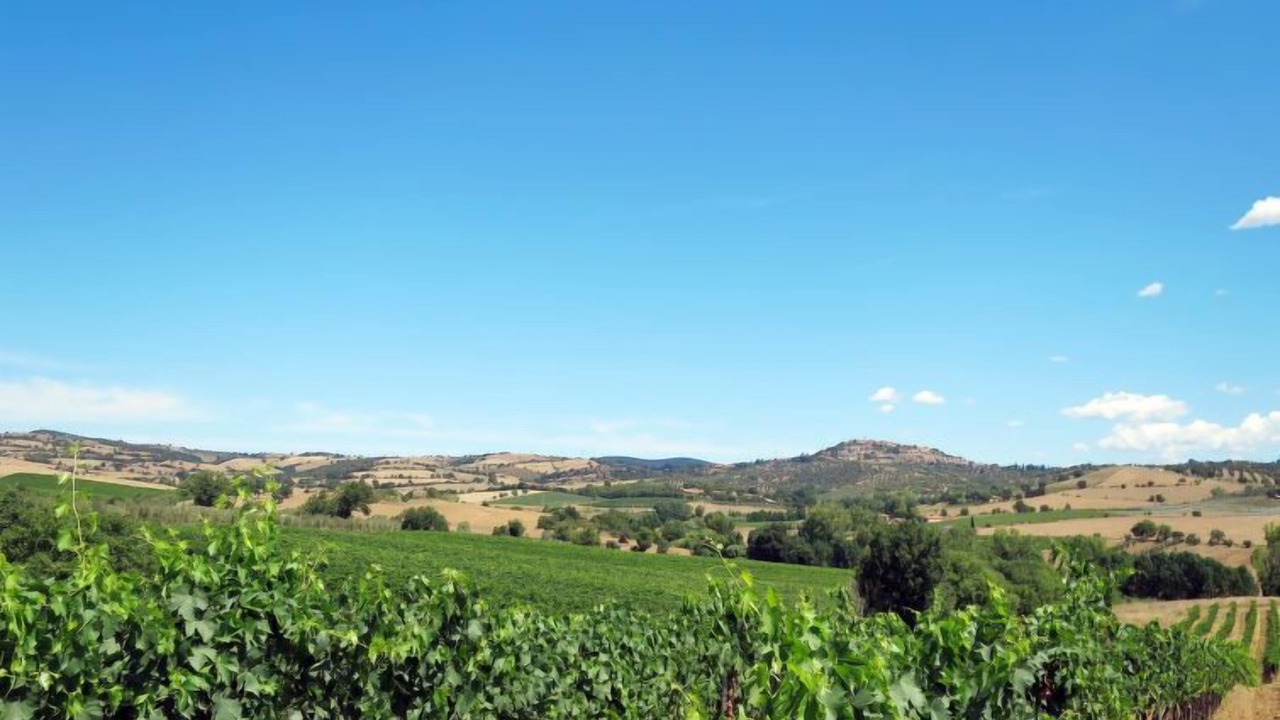 Photo of Outdoor in Magliano in Toscana