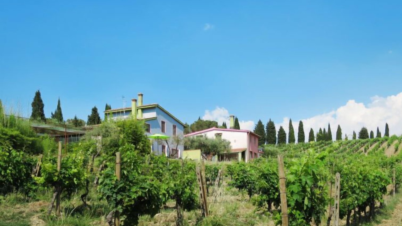 Photo of Outdoor in Certaldo