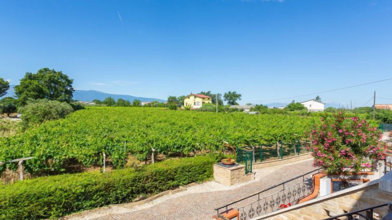 Photo of Outdoor in Crecchio