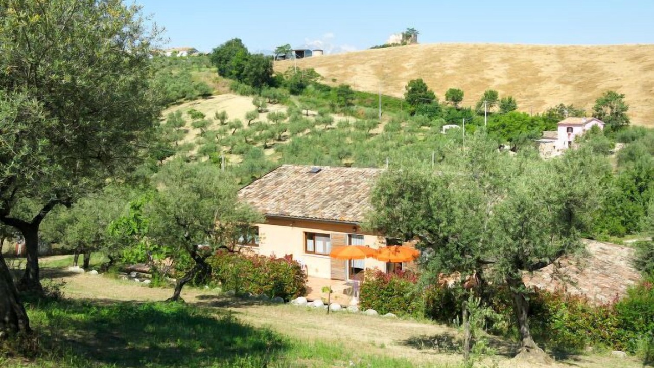 Photo of Outdoor in Collecorvino