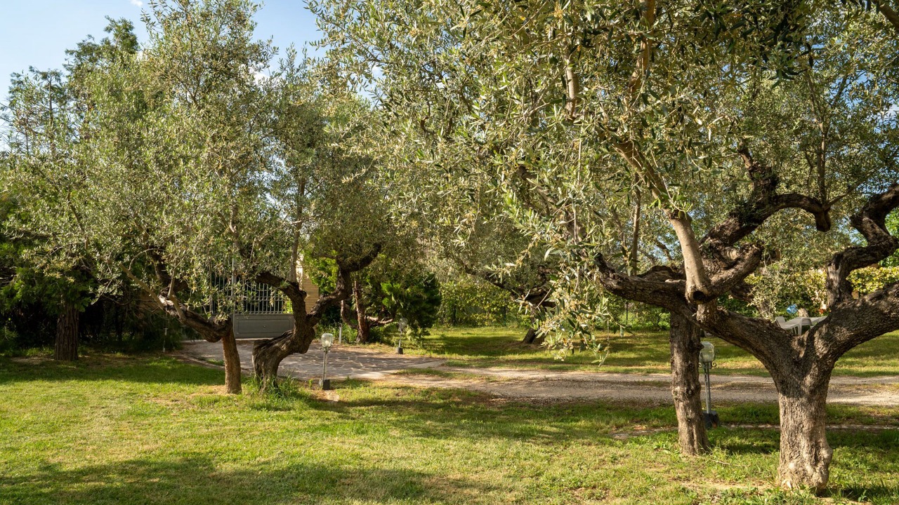 Photo of Outdoor in Collecorvino