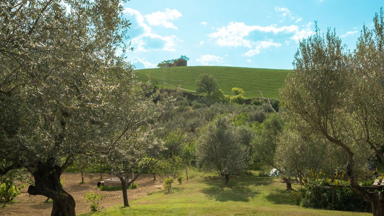 Photo of Outdoor in Collecorvino
