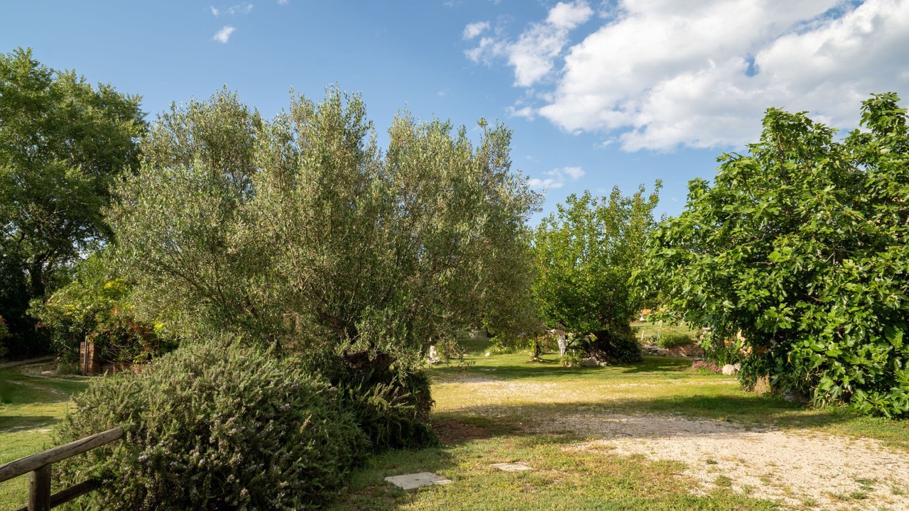 Photo of Outdoor in Collecorvino