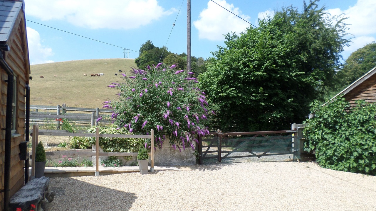 Photo of Outdoor in North Moreton