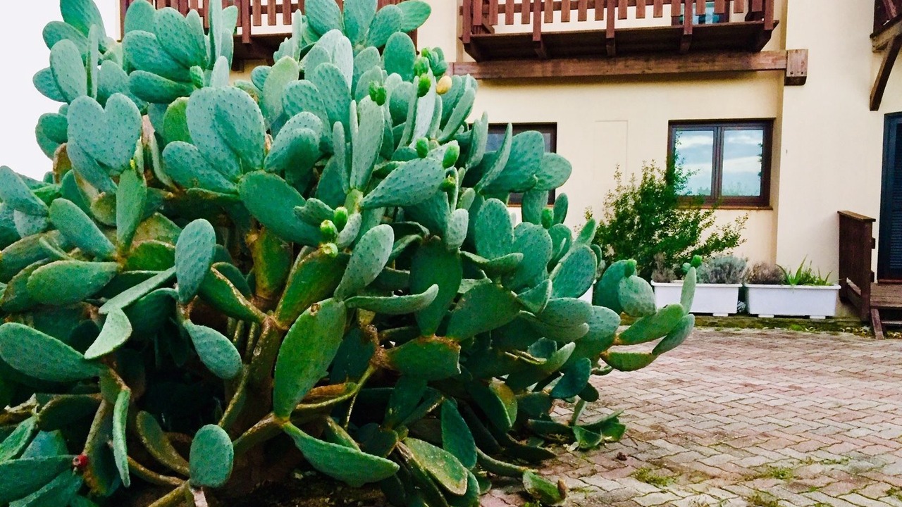 Photo of Outdoor in Torre dei Corsari