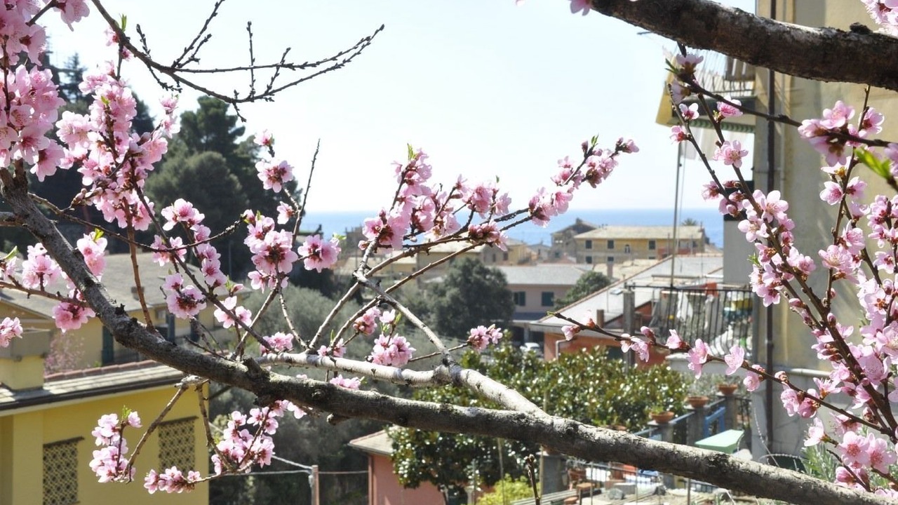 Photo of Outdoor in Bonassola