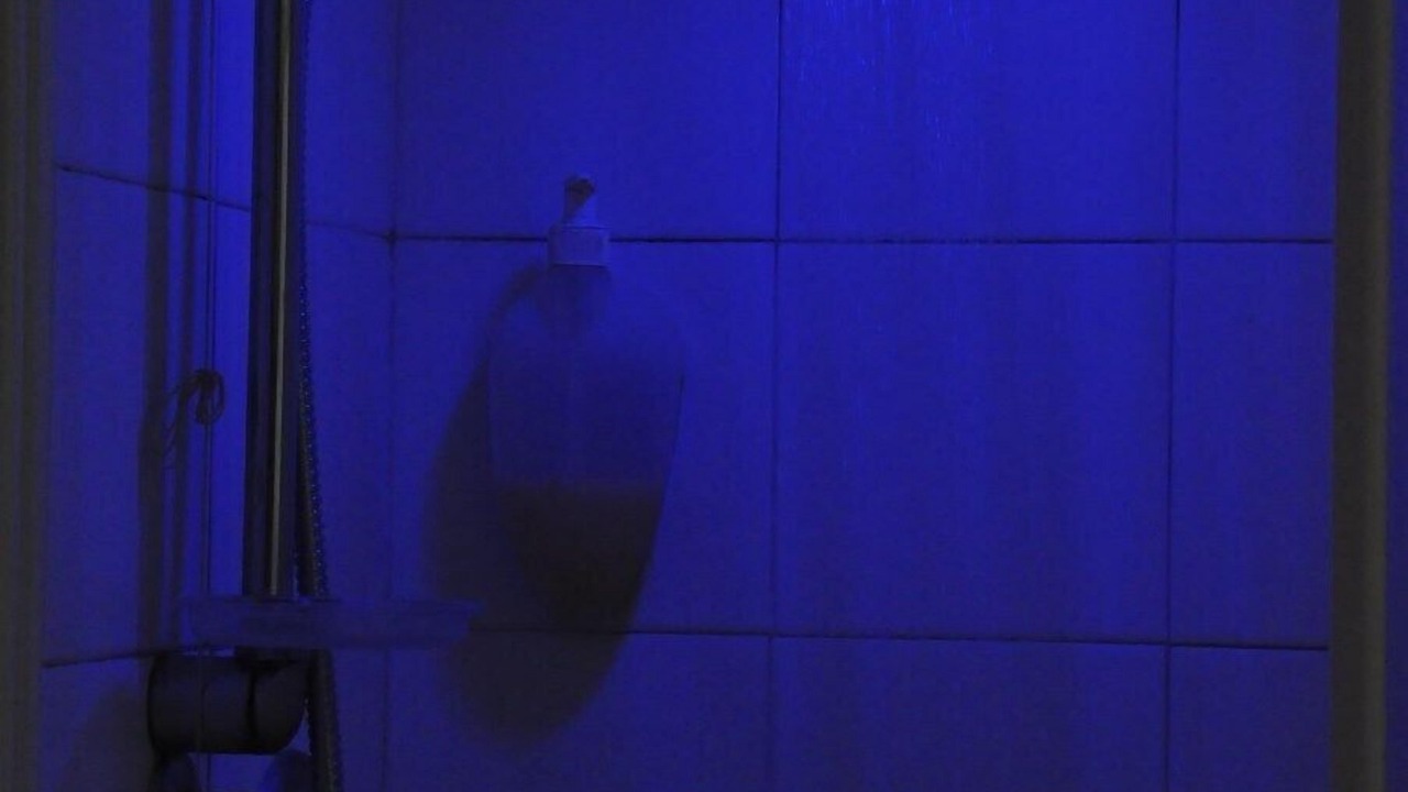Photo of Bathroom in Bonassola