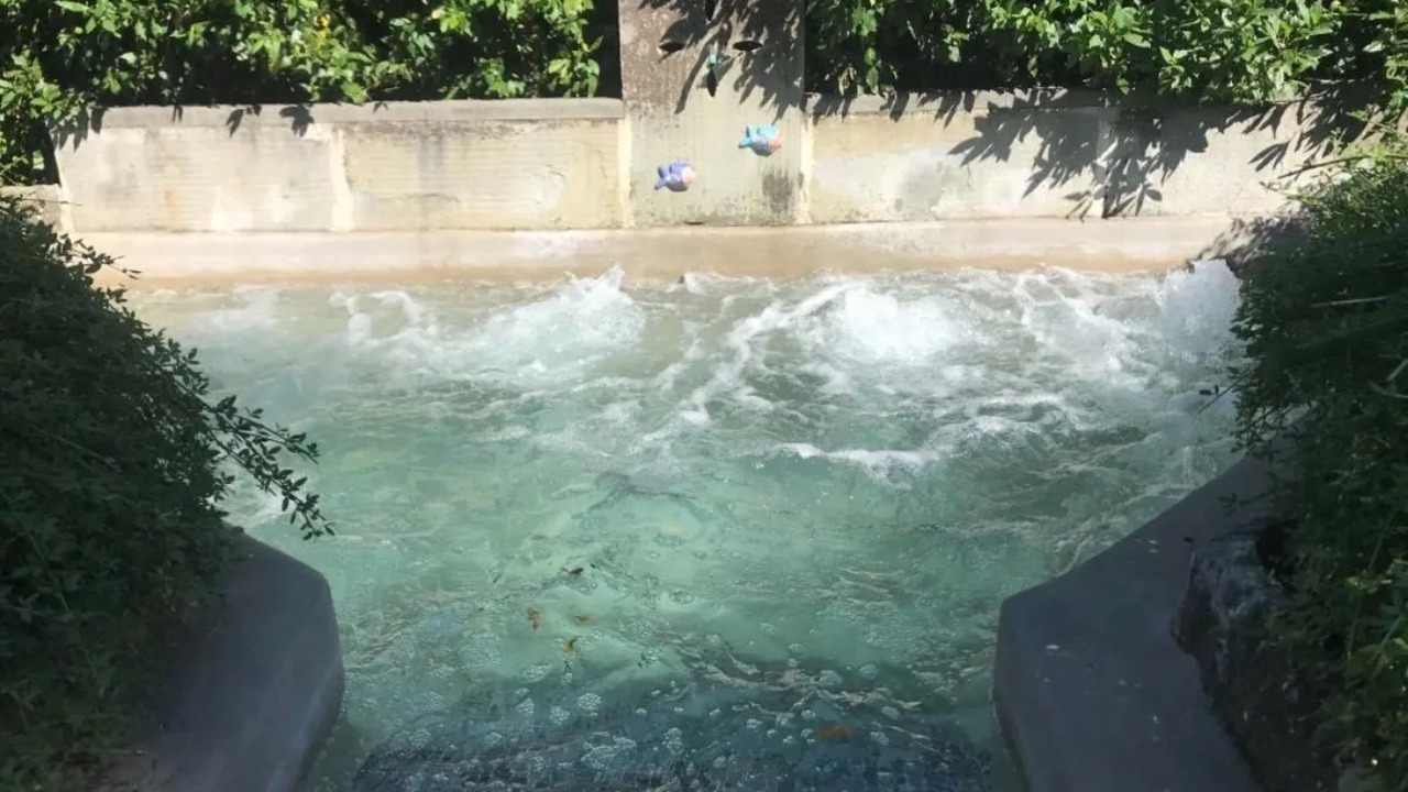 Photo of Outdoor in Careggi Rifredi