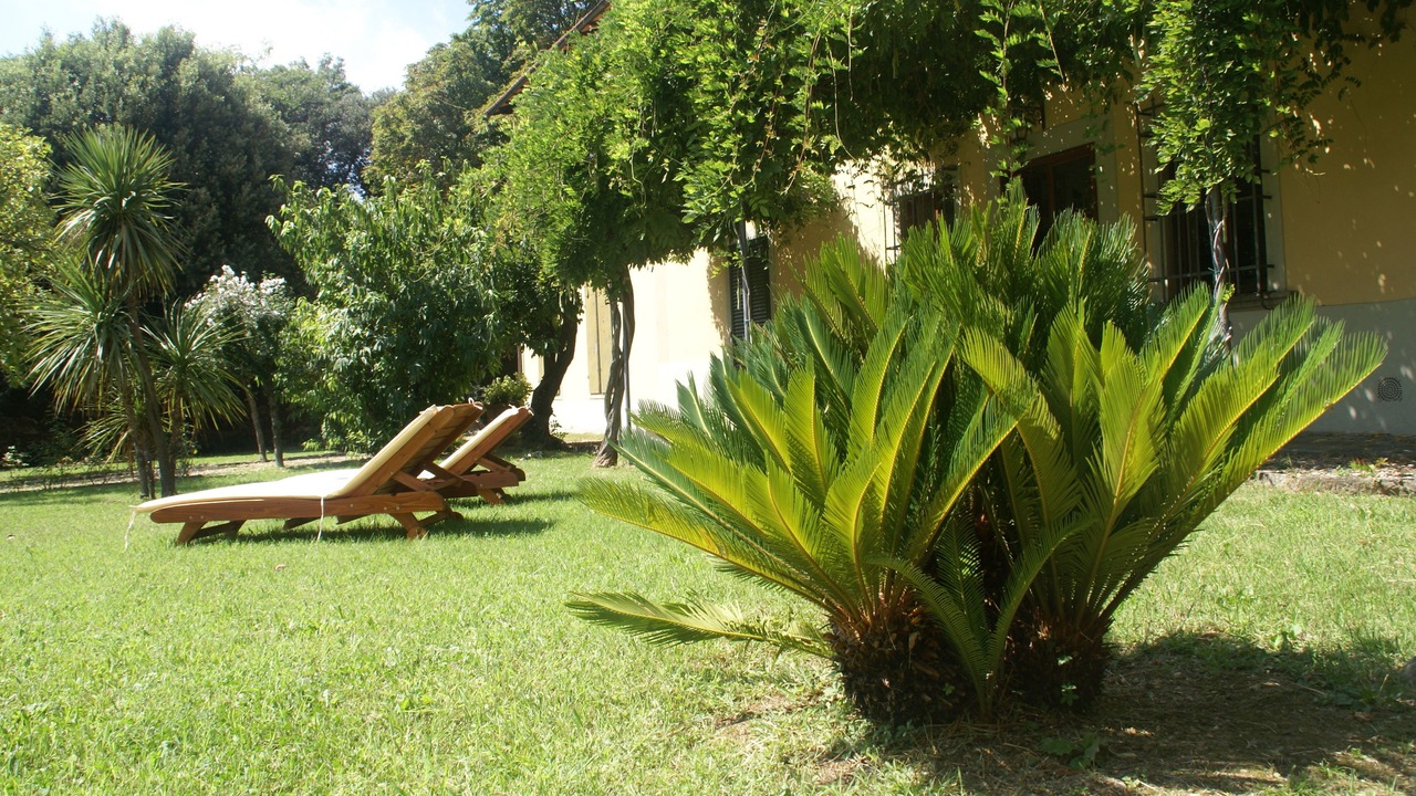 Photo of Outdoor in Careggi Rifredi