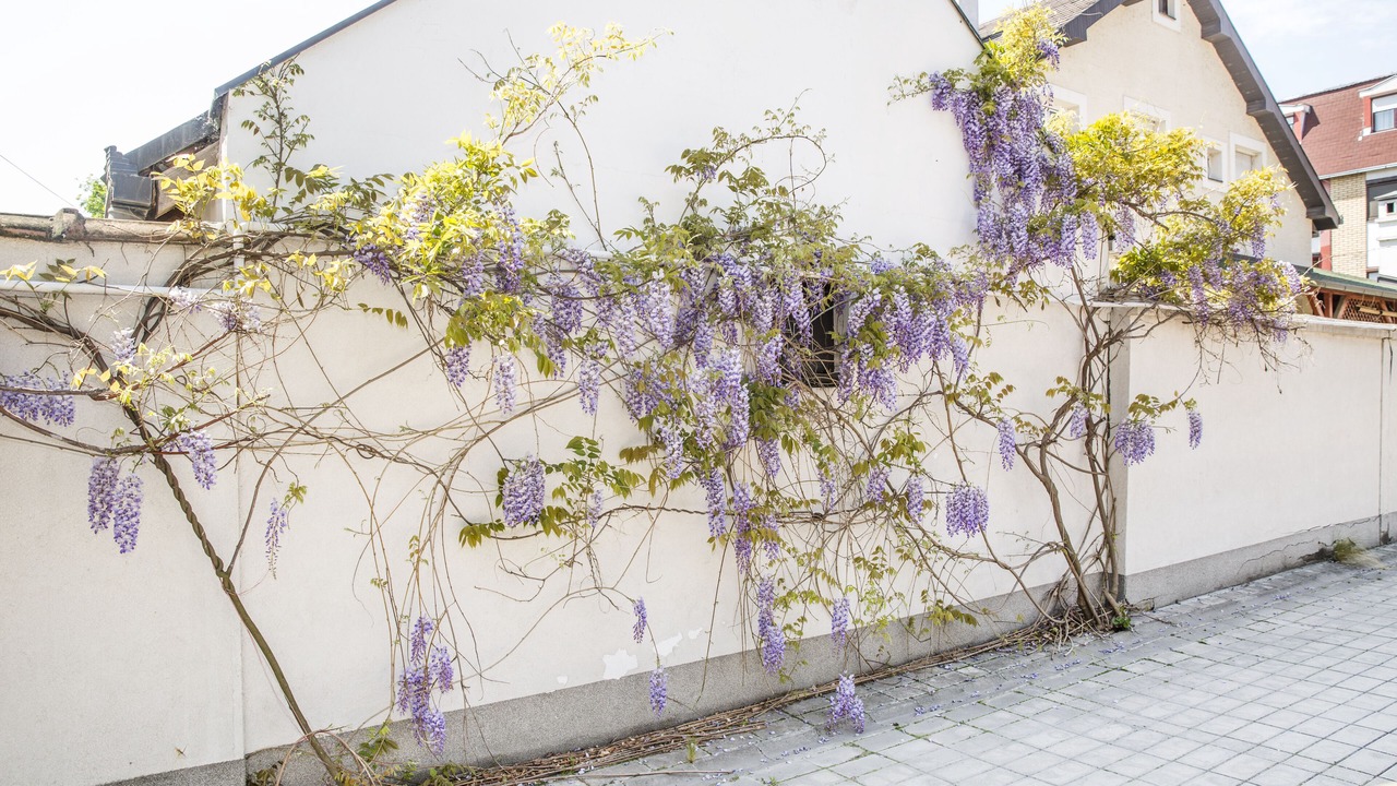 Photo of Outdoor in Novi Sad