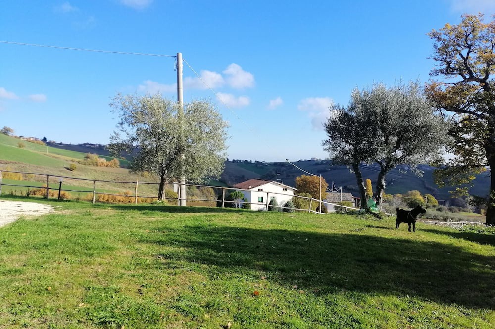Photo of Outdoor in Tolentino