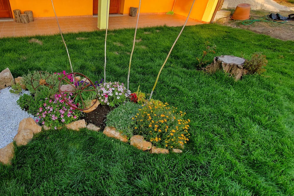 Photo of Outdoor in Bonorva